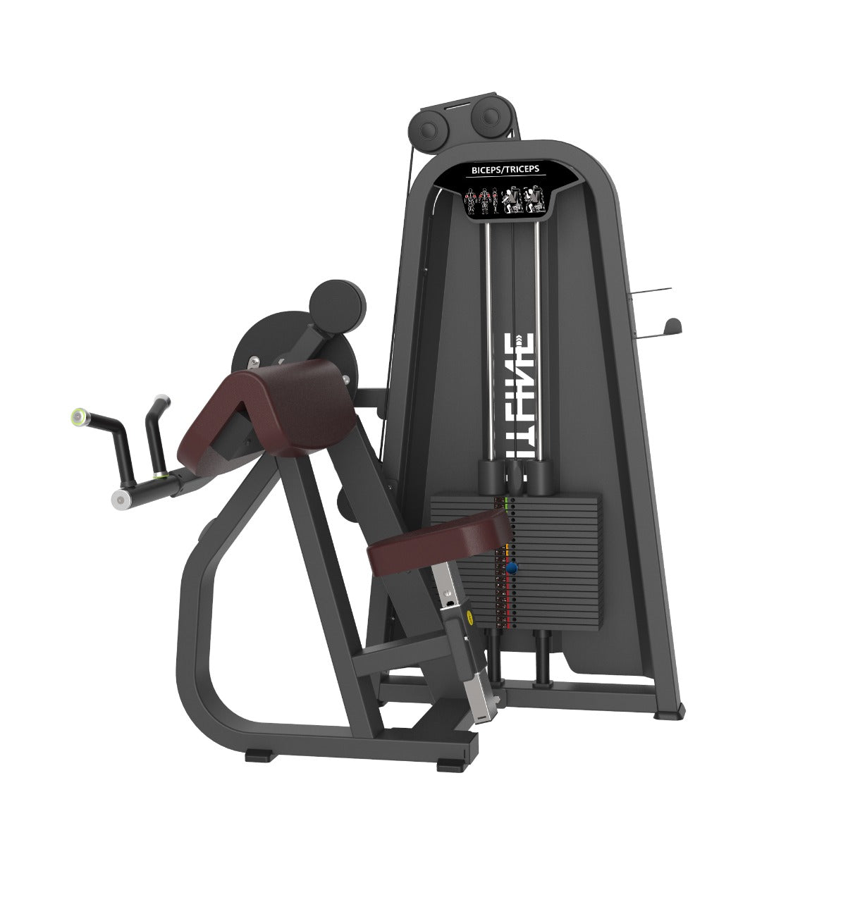 Impact - Biceps/ Triceps