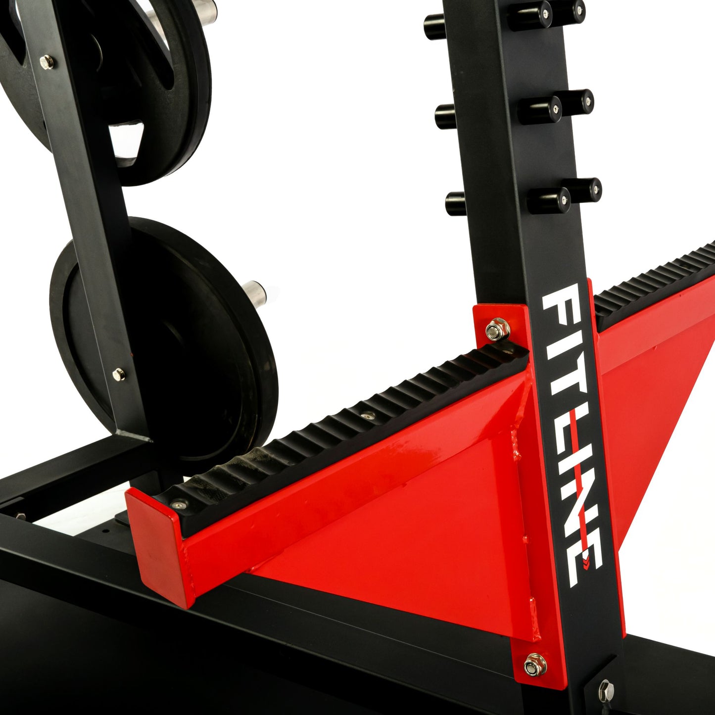 DZ-29-Free Trainer- Fitline India