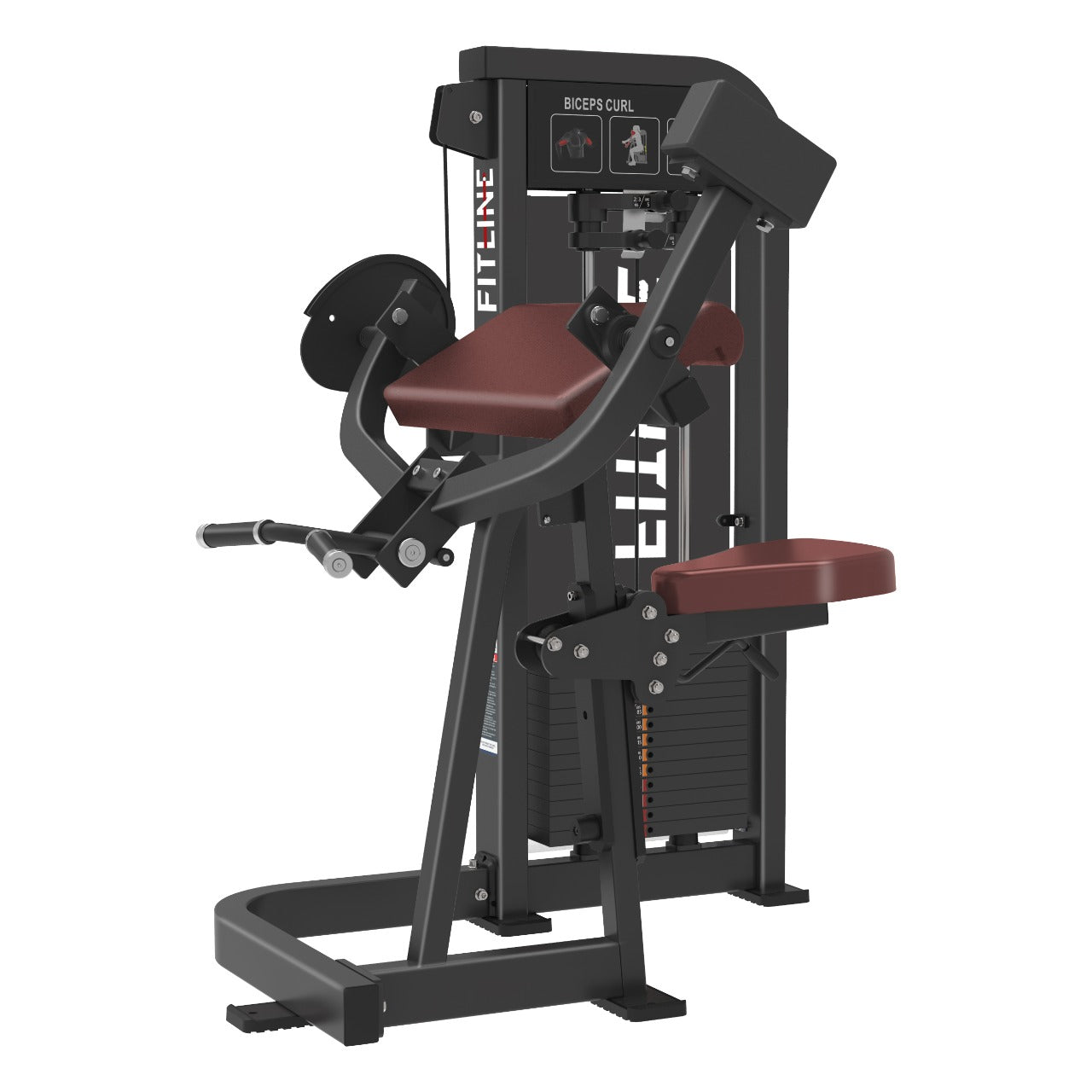 Magna- Biceps Curl (FM-06)