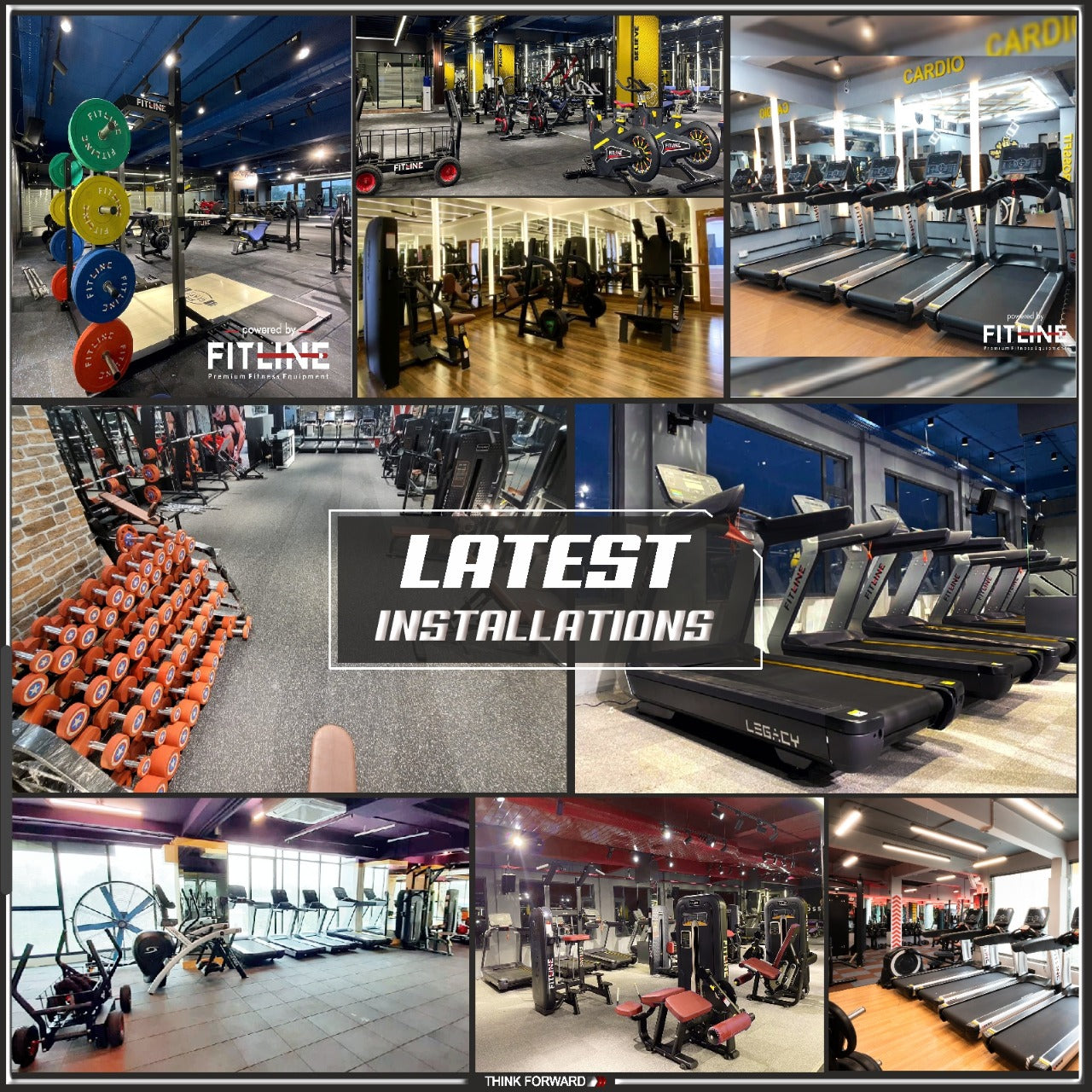 Gym setup, gym installation, complete gym setup, fitline gym setup